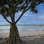 5 Lamerough Parade, Golden Beach, Queensland 4551