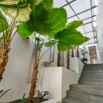 29 Headlands Court, Moffat Beach, Qld 4551