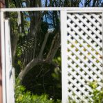 1/11 Banksia Street, Shelly Beach, Queensland 4551