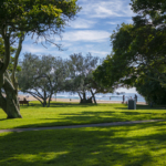 24/1 Bryce Street, Moffat Beach, Qld 4551